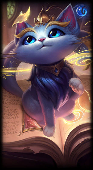 决赛级别 决赛级别