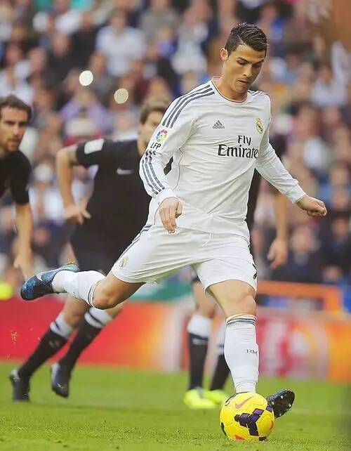 但他们必须 但他们必须